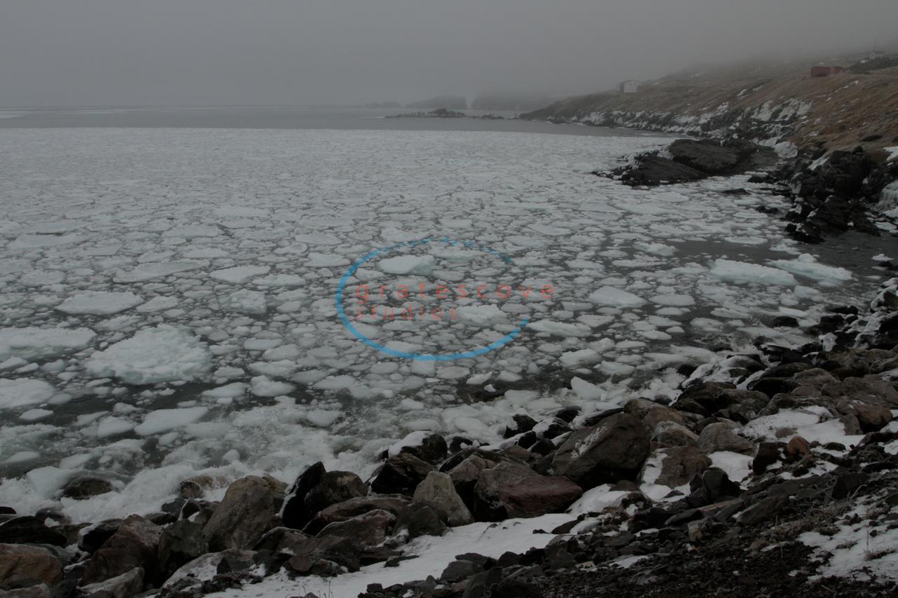 Grates Cove Studios: B&B In Historic Grates Cove 외부 사진