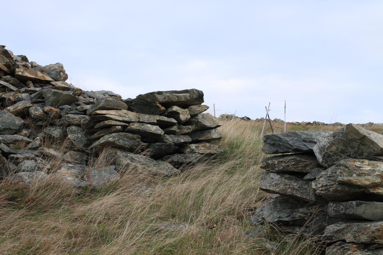 Grates Cove Studios: B&B In Historic Grates Cove 외부 사진