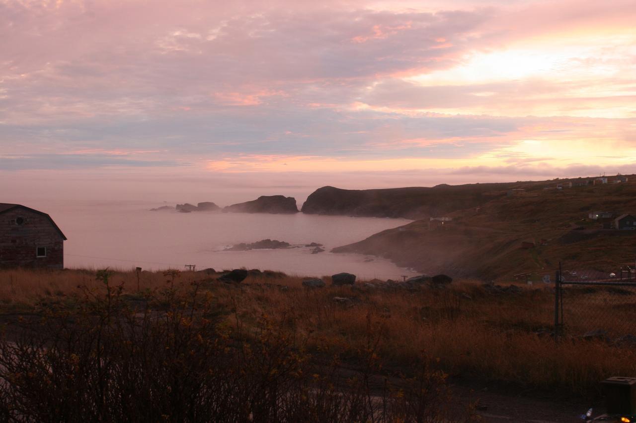 Grates Cove Studios: B&B In Historic Grates Cove 외부 사진